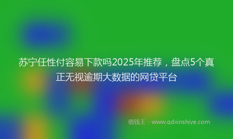 苏宁任性付容易下款吗2025年推荐，盘点5个真正无视逾期大数据的网贷平台