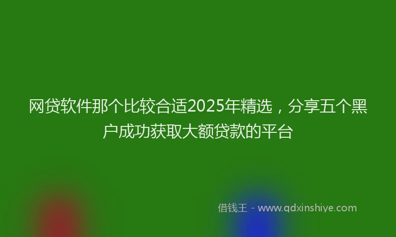 网贷软件那个比较合适2025年精选，分享五个黑户成功获取大额贷款的平台