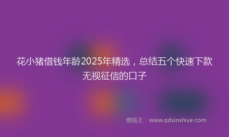 花小猪借钱年龄2025年精选，总结五个快速下款无视征信的口子