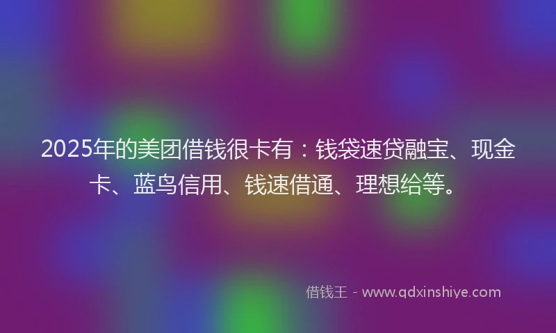2025年的美团借钱很卡有：钱袋速贷融宝、现金卡、蓝鸟信用、钱速借通、理想给等。