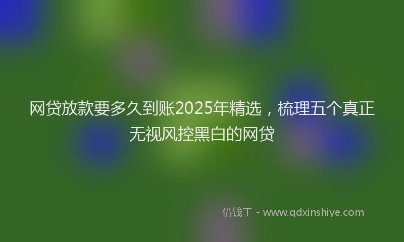网贷放款要多久到账2025年精选，梳理五个真正无视风控黑白的网贷
