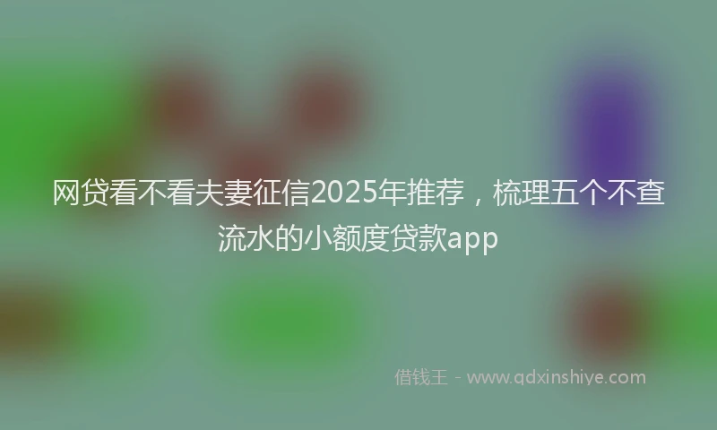 网贷看不看夫妻征信2025年推荐，梳理五个不查流水的小额度贷款app