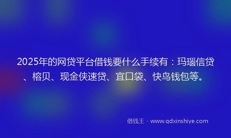 2025年的网贷平台借钱要什么手续有：玛瑙信贷、榕贝、现金侠速贷、宜口袋、快鸟钱包等。