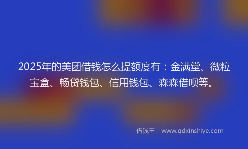 2025年的美团借钱怎么提额度有：金满堂、微粒宝盒、畅贷钱包、信用钱包、森森借呗等。