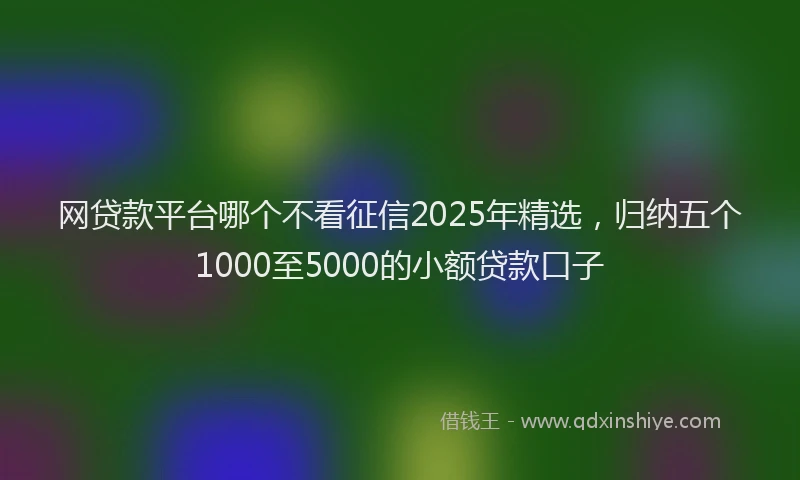 网贷款平台哪个不看征信2025年精选，归纳五个1000至5000的小额贷款口子