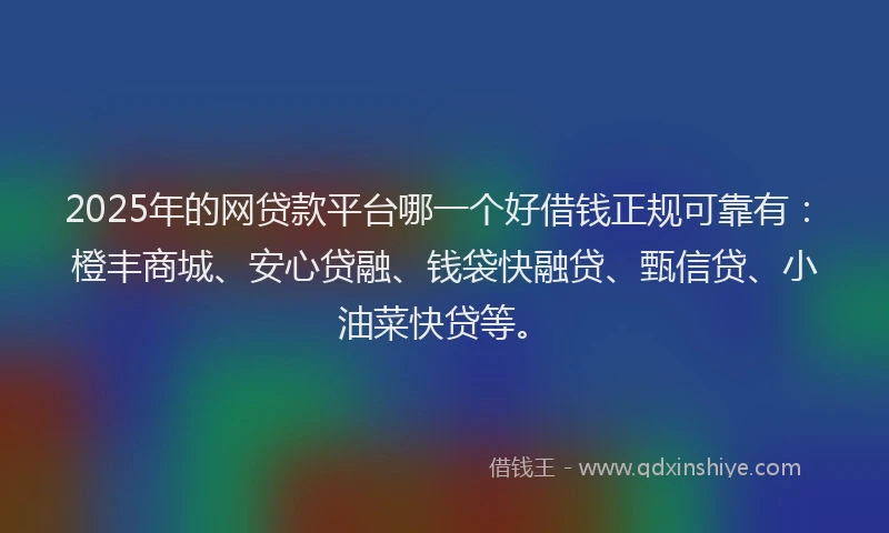 2025年的网贷款平台哪一个好借钱正规可靠有：橙丰商城、安心贷融、钱袋快融贷、甄信贷、小油菜快贷等。