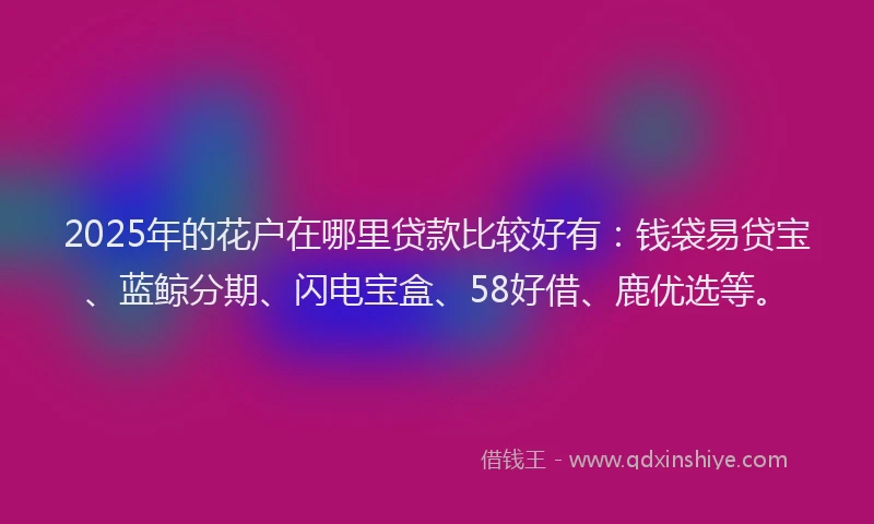 2025年的花户在哪里贷款比较好有：钱袋易贷宝、蓝鲸分期、闪电宝盒、58好借、鹿优选等。