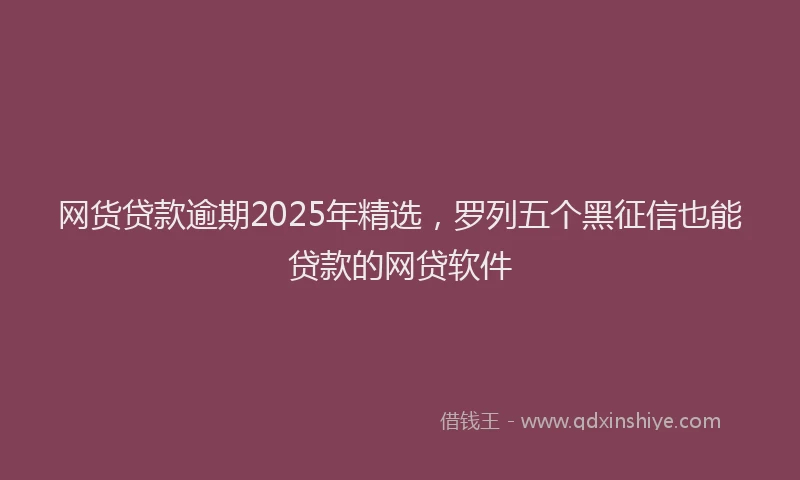 网货贷款逾期2025年精选，罗列五个黑征信也能贷款的网贷软件