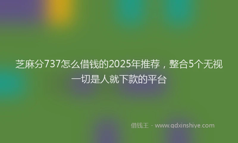 芝麻分737怎么借钱的2025年推荐，整合5个无视一切是人就下款的平台