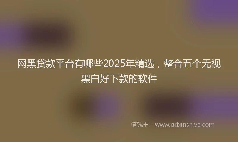 网黑贷款平台有哪些2025年精选，整合五个无视黑白好下款的软件