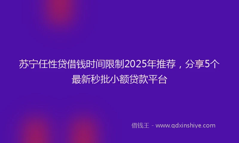 苏宁任性贷借钱时间限制2025年推荐，分享5个最新秒批小额贷款平台
