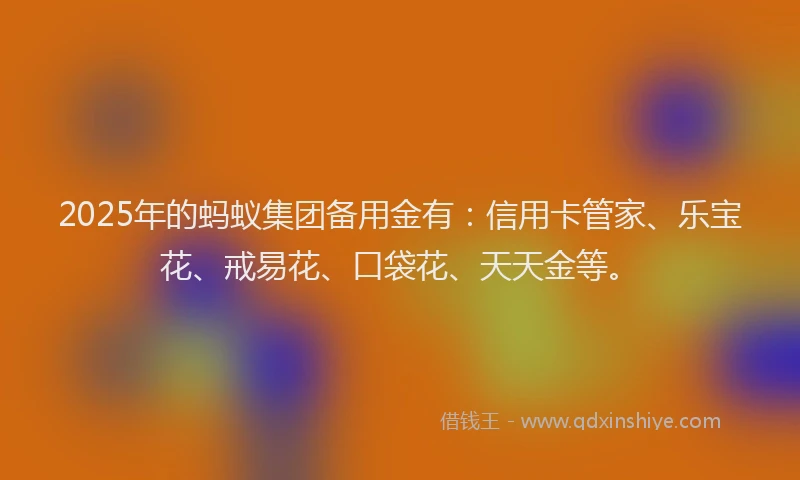2025年的蚂蚁集团备用金有：信用卡管家、乐宝花、戒易花、口袋花、天天金等。