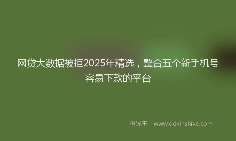 网贷大数据被拒2025年精选，整合五个新手机号容易下款的平台