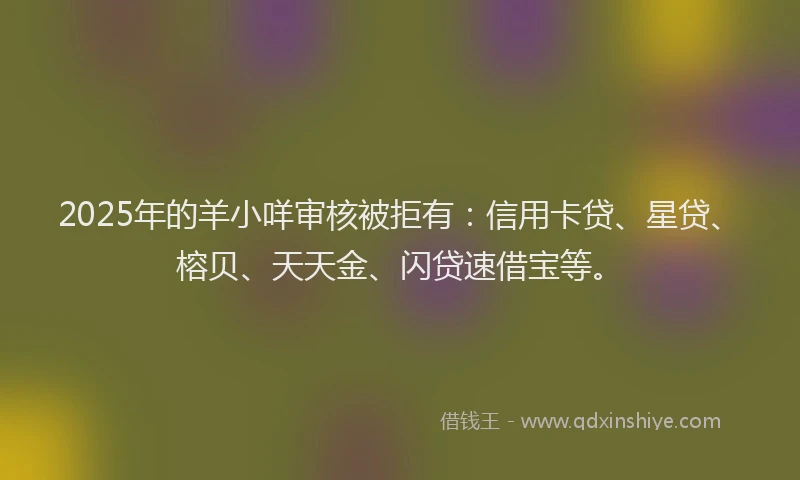2025年的羊小咩审核被拒有：信用卡贷、星贷、榕贝、天天金、闪贷速借宝等。
