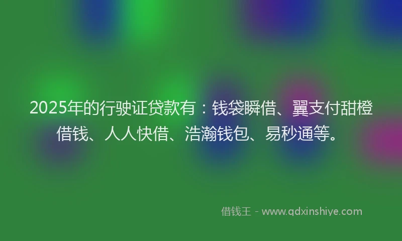 2025年的行驶证贷款有：钱袋瞬借、翼支付甜橙借钱、人人快借、浩瀚钱包、易秒通等。