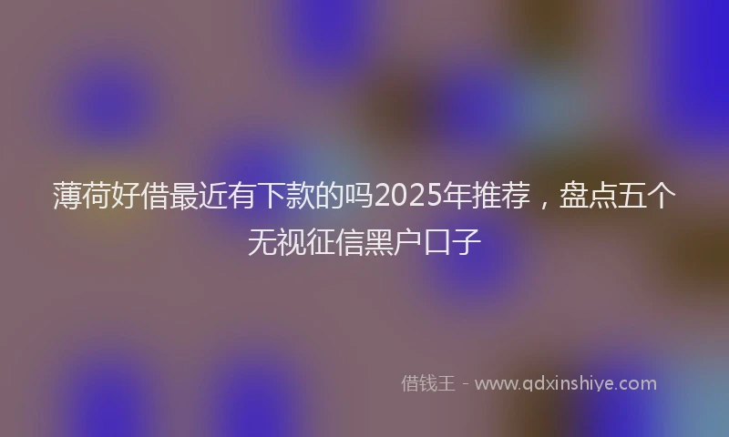 薄荷好借最近有下款的吗2025年推荐，盘点五个无视征信黑户口子