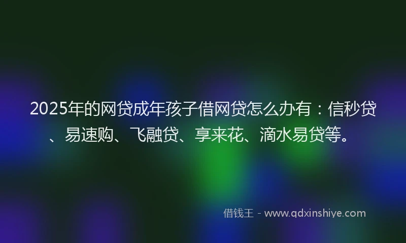 2025年的网贷成年孩子借网贷怎么办有：信秒贷、易速购、飞融贷、享来花、滴水易贷等。