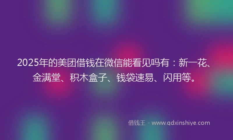 2025年的美团借钱在微信能看见吗有：新一花、金满堂、积木盒子、钱袋速易、闪用等。