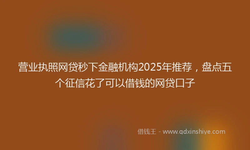 营业执照网贷秒下金融机构2025年推荐，盘点五个征信花了可以借钱的网贷口子