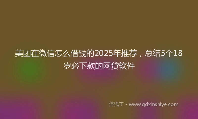 美团在微信怎么借钱的2025年推荐，总结5个18岁必下款的网贷软件