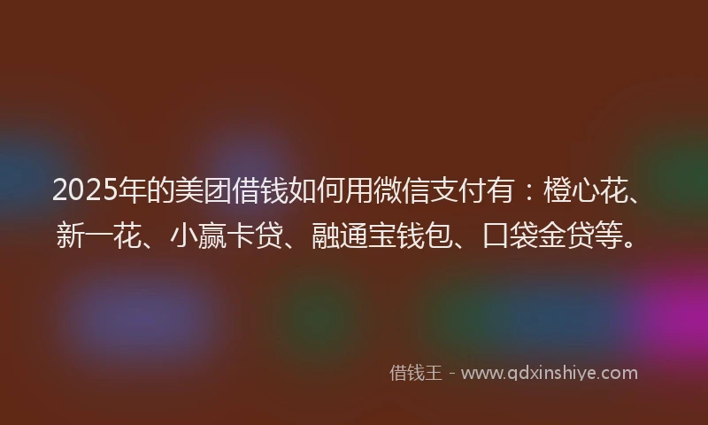 2025年的美团借钱如何用微信支付有：橙心花、新一花、小赢卡贷、融通宝钱包、口袋金贷等。