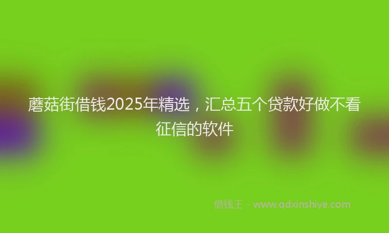 蘑菇街借钱2025年精选，汇总五个贷款好做不看征信的软件