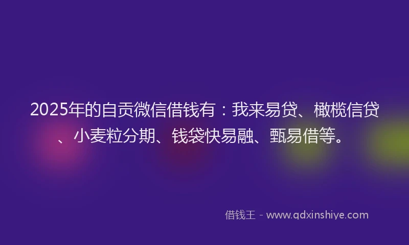 2025年的自贡微信借钱有：我来易贷、橄榄信贷、小麦粒分期、钱袋快易融、甄易借等。