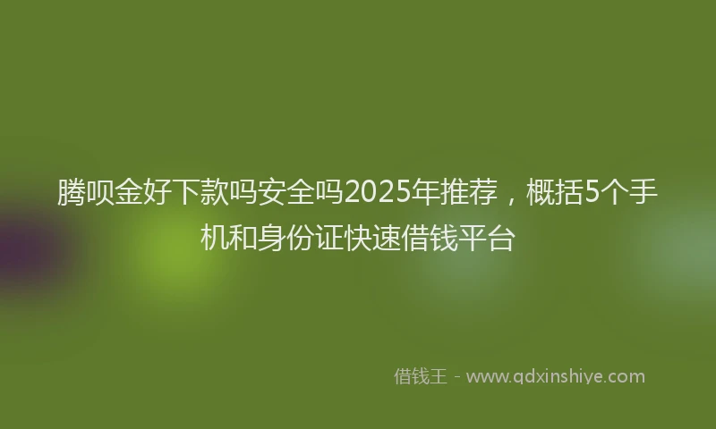 腾呗金好下款吗安全吗2025年推荐，概括5个手机和身份证快速借钱平台