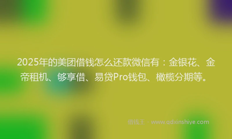2025年的美团借钱怎么还款微信有：金银花、金帝租机、够享借、易贷Pro钱包、橄榄分期等。