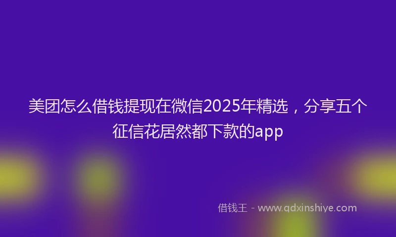 美团怎么借钱提现在微信2025年精选，分享五个征信花居然都下款的app