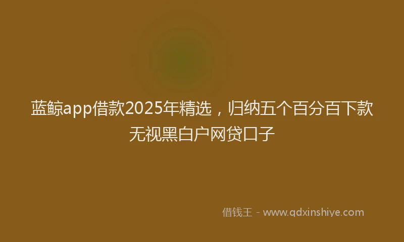 蓝鲸app借款2025年精选，归纳五个百分百下款无视黑白户网贷口子