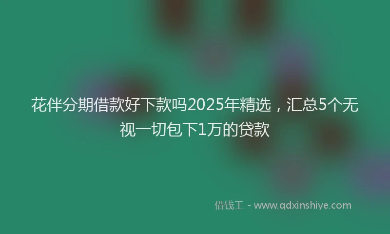 花伴分期借款好下款吗2025年精选，汇总5个无视一切包下1万的贷款