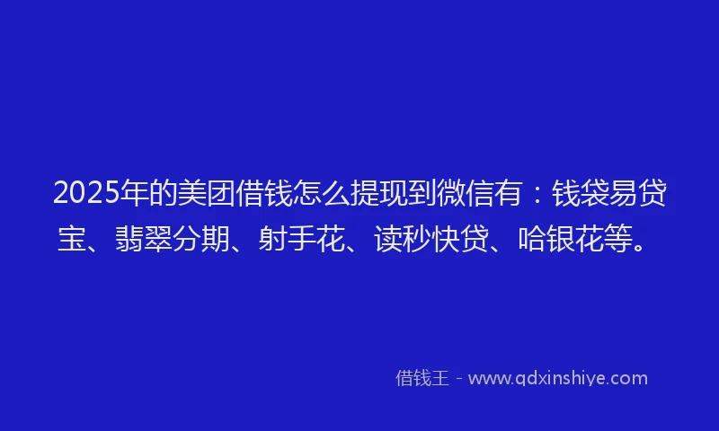 2025年的美团借钱怎么提现到微信有：钱袋易贷宝、翡翠分期、射手花、读秒快贷、哈银花等。