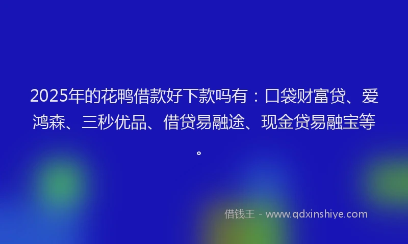 2025年的花鸭借款好下款吗有：口袋财富贷、爱鸿森、三秒优品、借贷易融途、现金贷易融宝等。