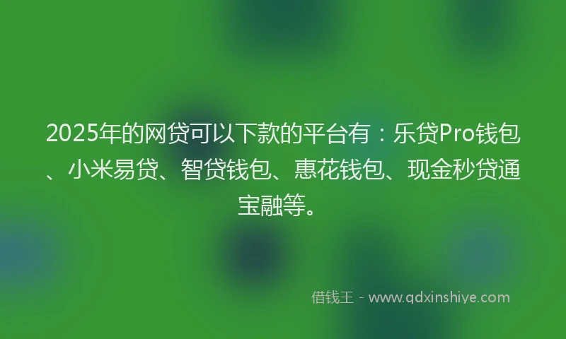 2025年的网贷可以下款的平台有：乐贷Pro钱包、小米易贷、智贷钱包、惠花钱包、现金秒贷通宝融等。