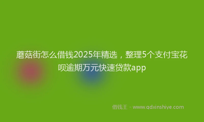 蘑菇街怎么借钱2025年精选，整理5个支付宝花呗逾期万元快速贷款app