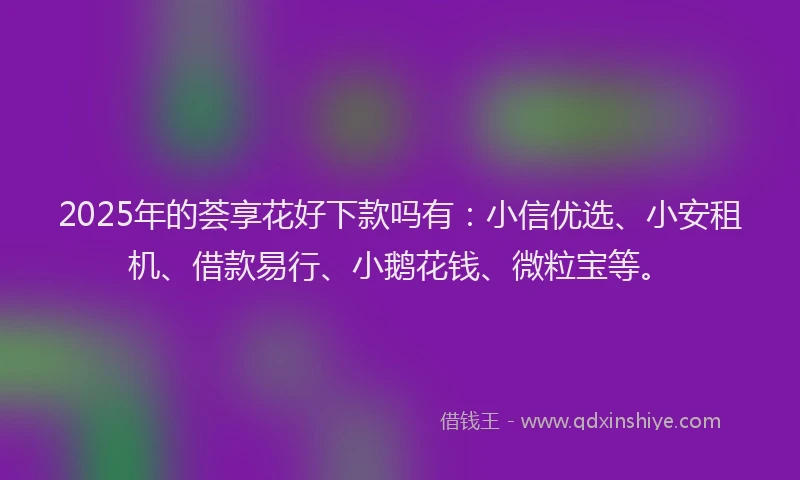 2025年的荟享花好下款吗有：小信优选、小安租机、借款易行、小鹅花钱、微粒宝等。