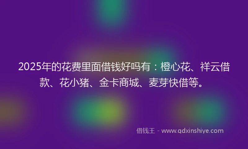 2025年的花费里面借钱好吗有：橙心花、祥云借款、花小猪、金卡商城、麦芽快借等。