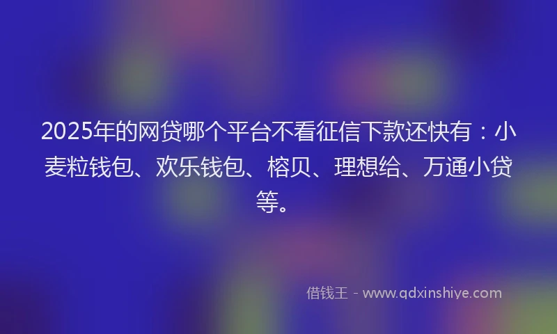 2025年的网贷哪个平台不看征信下款还快有：小麦粒钱包、欢乐钱包、榕贝、理想给、万通小贷等。