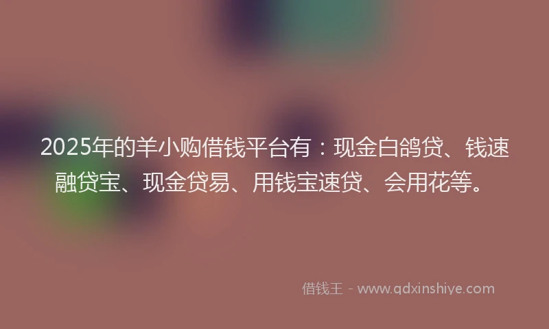 2025年的羊小购借钱平台有：现金白鸽贷、钱速融贷宝、现金贷易、用钱宝速贷、会用花等。