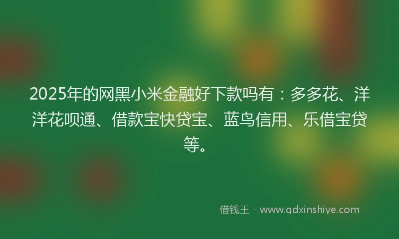 2025年的网黑小米金融好下款吗有：多多花、洋洋花呗通、借款宝快贷宝、蓝鸟信用、乐借宝贷等。
