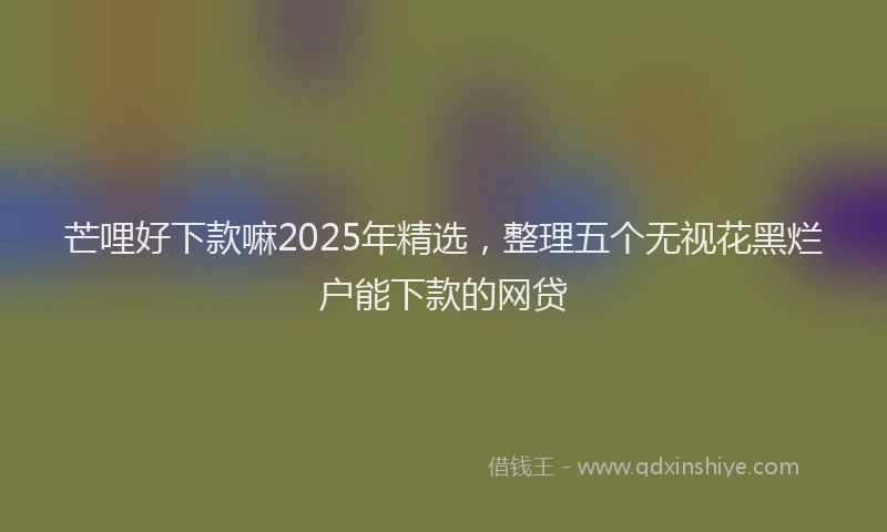 芒哩好下款嘛2025年精选，整理五个无视花黑烂户能下款的网贷