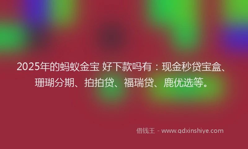 2025年的蚂蚁金宝 好下款吗有：现金秒贷宝盒、珊瑚分期、拍拍贷、福瑞贷、鹿优选等。