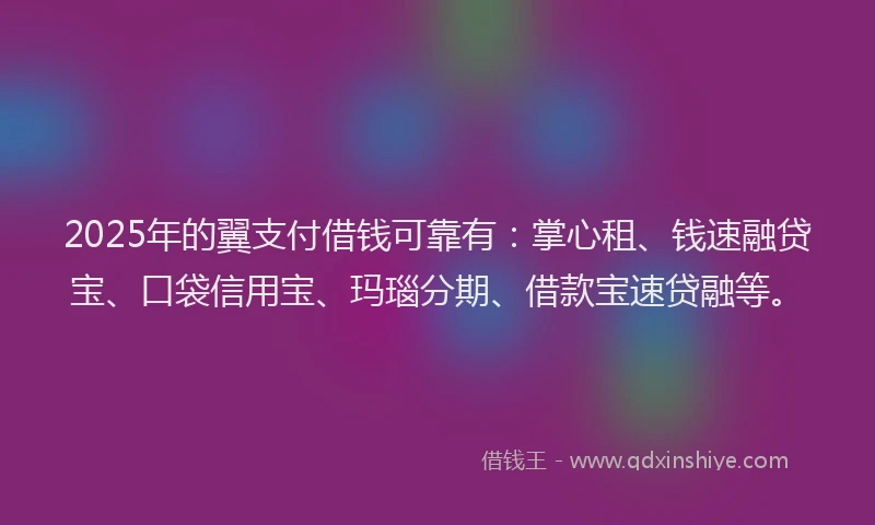 2025年的翼支付借钱可靠有：掌心租、钱速融贷宝、口袋信用宝、玛瑙分期、借款宝速贷融等。