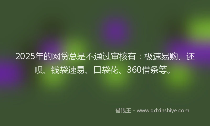 2025年的网贷总是不通过审核有：极速易购、还呗、钱袋速易、口袋花、360借条等。