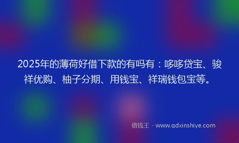 2025年的薄荷好借下款的有吗有：哆哆贷宝、骏祥优购、柚子分期、用钱宝、祥瑞钱包宝等。
