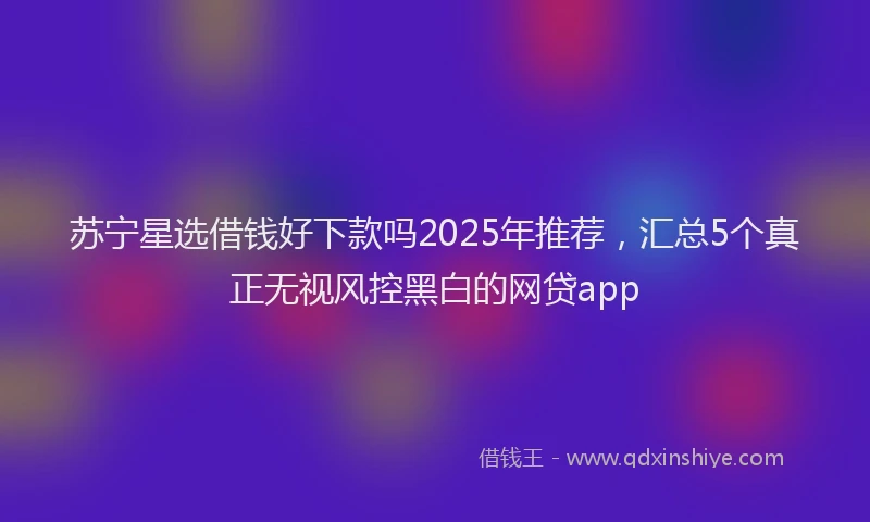 苏宁星选借钱好下款吗2025年推荐，汇总5个真正无视风控黑白的网贷app