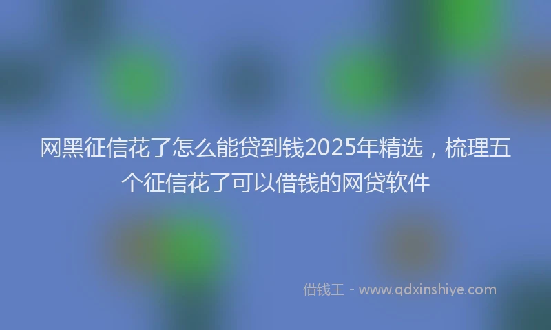 网黑征信花了怎么能贷到钱2025年精选，梳理五个征信花了可以借钱的网贷软件