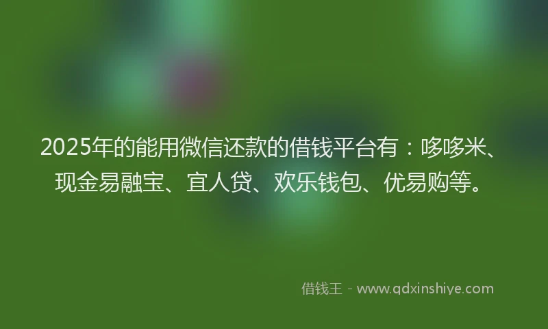 2025年的能用微信还款的借钱平台有：哆哆米、现金易融宝、宜人贷、欢乐钱包、优易购等。