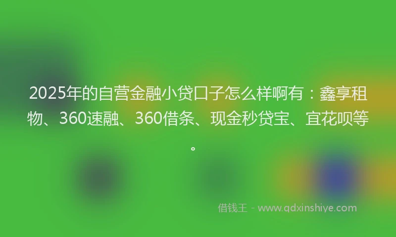 2025年的自营金融小贷口子怎么样啊有：鑫享租物、360速融、360借条、现金秒贷宝、宜花呗等。